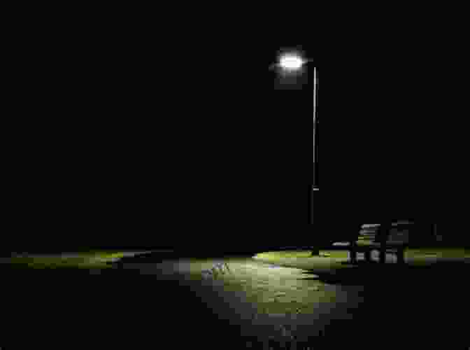 A Shadowy Street Lit By A Single Lamppost, Creating A Sense Of Mystery And Foreboding. Study Guide: At The Dark End Of The Street By Danielle L McGuire (SuperSummary)