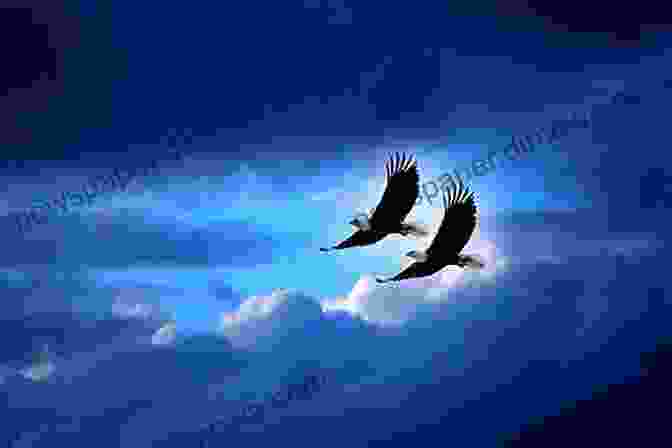 Bird Soaring Through The Sky, Symbolizing Boundless Imagination If I Had Two Wings: Stories