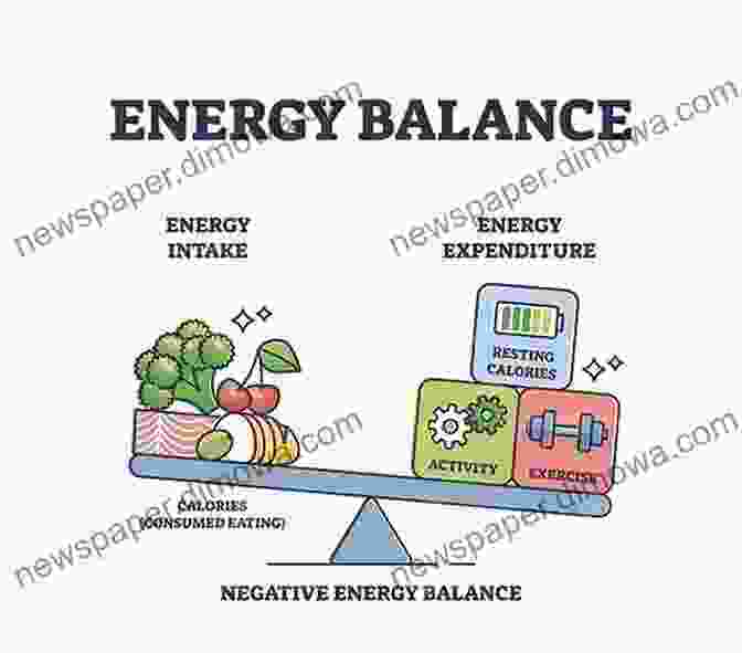 Conceptual Diagram Illustrating The Interplay Between Calories, Energy Balance, And Weight Loss PALEO DIET: An Ultimate Beginners Guide For Weight Loss And Healthy Living (Weight Loss Recipes Cookbook)