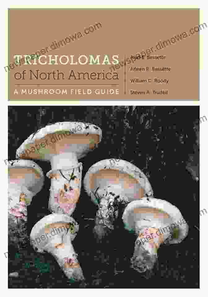 Cover Of The Book 'Tricholomas Of North America', Featuring A Vibrant Photograph Of A Cluster Of Tricholomataceae Mushrooms. Tricholomas Of North America: A Mushroom Field Guide (Corrie Herring Hooks Series)