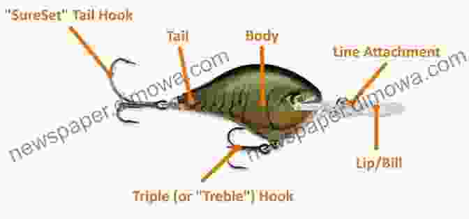 Detailed Diagram Of Crankbait Anatomy, Including Body Shape, Lip, Hook, And Weight Distribution. How To Make Fishing Lures Polymer Crankbaits With 15 Designs