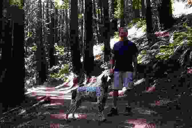 Dog Enjoying A Hike In Redwood Regional Park Best Hikes With Dogs San Francisco Bay Area And Beyond: 2nd Edition