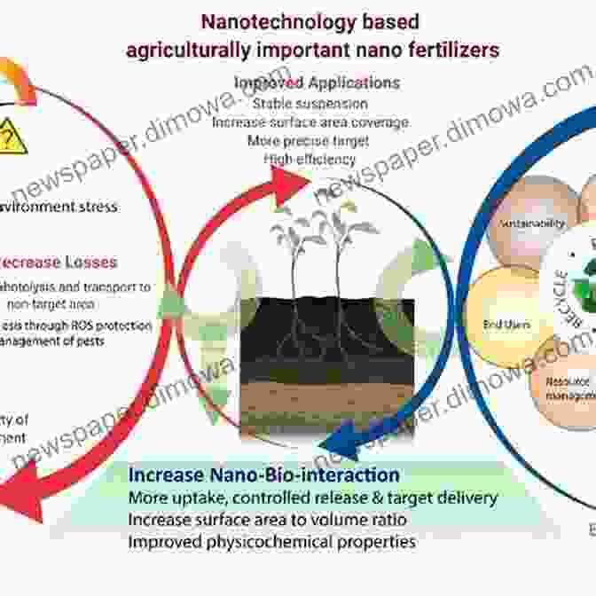 Nanoparticles Enhancing Photosynthesis Sustainable Agriculture Reviews 41: Nanotechnology For Plant Growth And Development