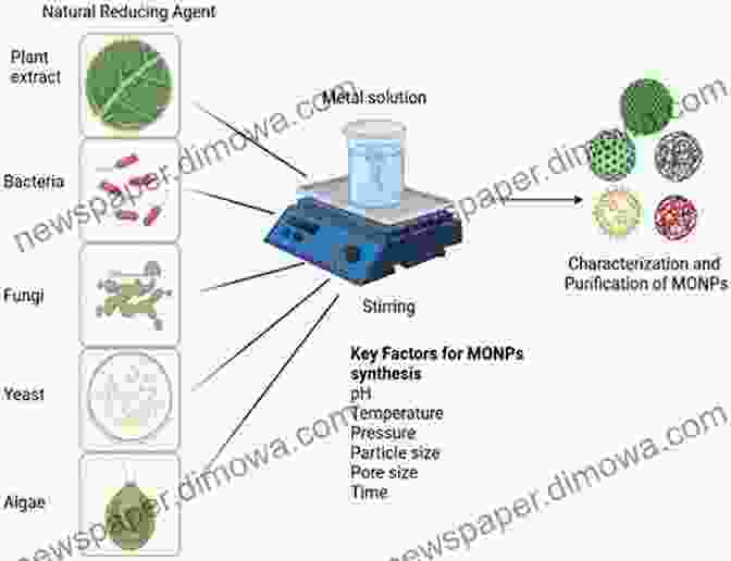 Nanoparticles Protecting Plants From Stress Sustainable Agriculture Reviews 41: Nanotechnology For Plant Growth And Development