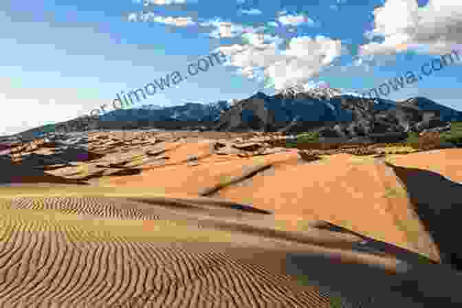 The Great Sand Dunes National Park And Preserve Encompasses A Stunning Diversity Of Habitats, Including Wetlands, Grasslands, And Alpine Tundra, Supporting A Rich Array Of Plant And Wildlife. Sea Of Sand: A History Of Great Sand Dunes National Park And Preserve (Public Lands History 2)