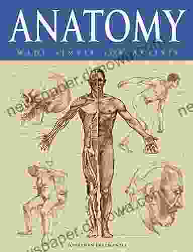 Anatomy Made Simple For Artists