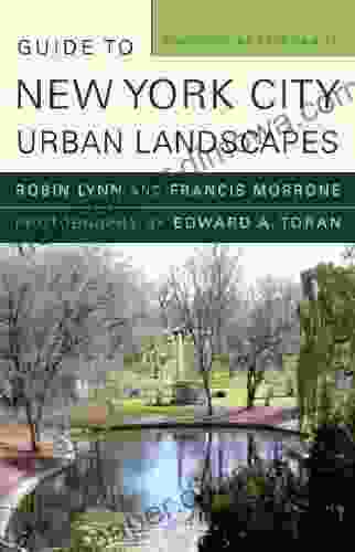 Guide To New York City Urban Landscapes