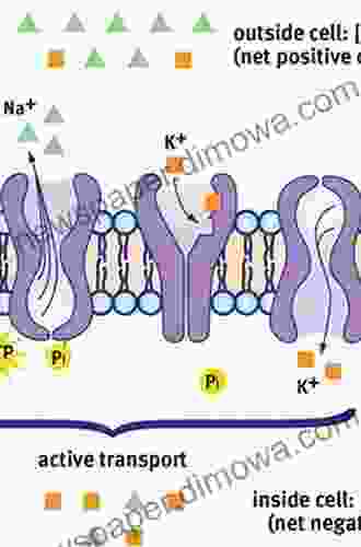 Membrane Potential Imaging in the Nervous System: Methods and Applications