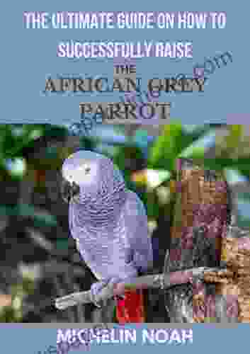 The Ultimate Guide On How To Successfully Raise The African Grey Parrot