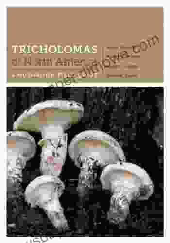 Tricholomas of North America: A Mushroom Field Guide (Corrie Herring Hooks Series)