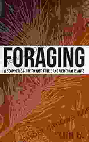 Foraging A Beginner S Guide To Wild Edible And Medicinal Plants (SHTF 1)